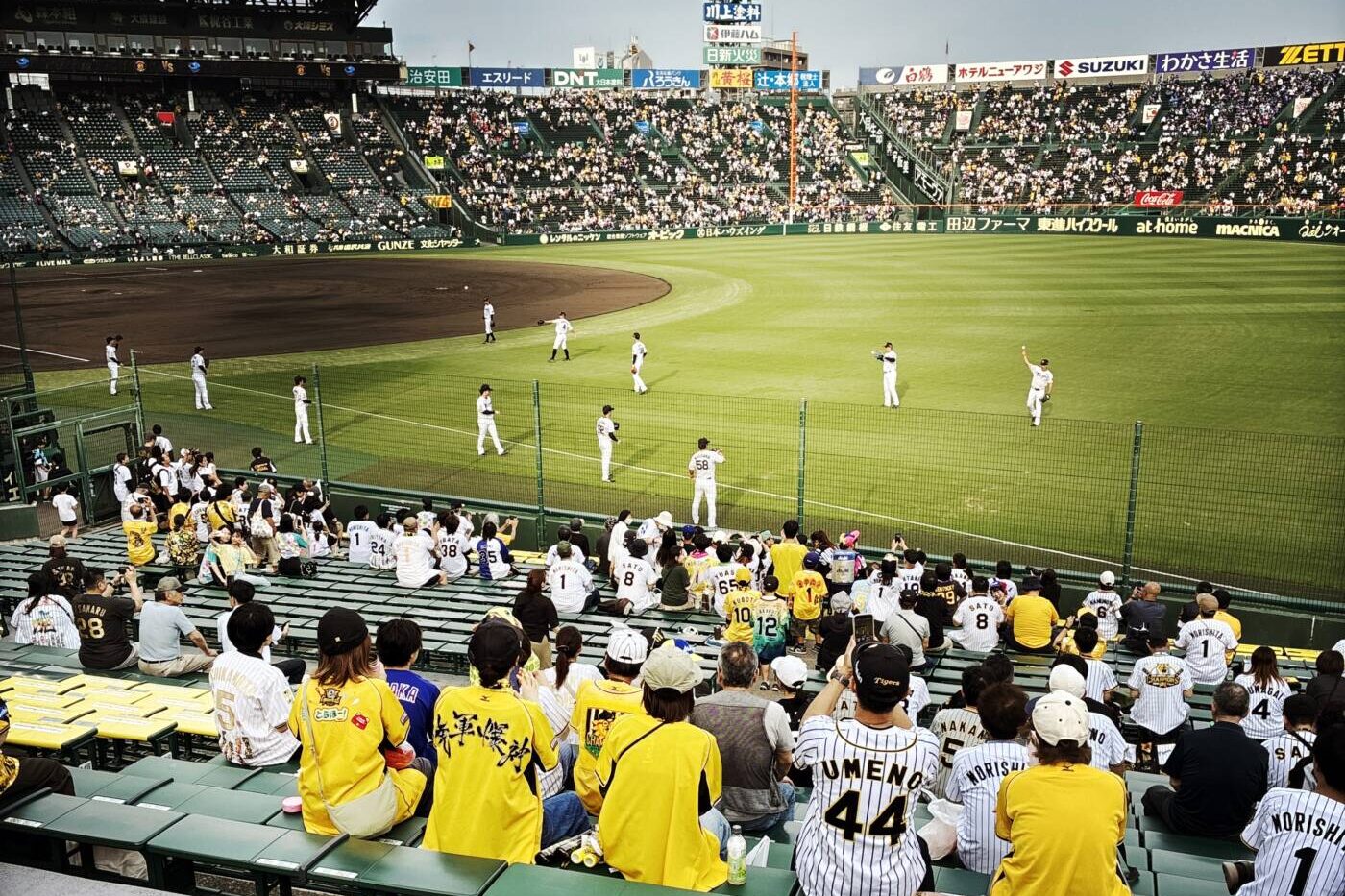 甲子園,阪神,プロ野球,アルプス席
