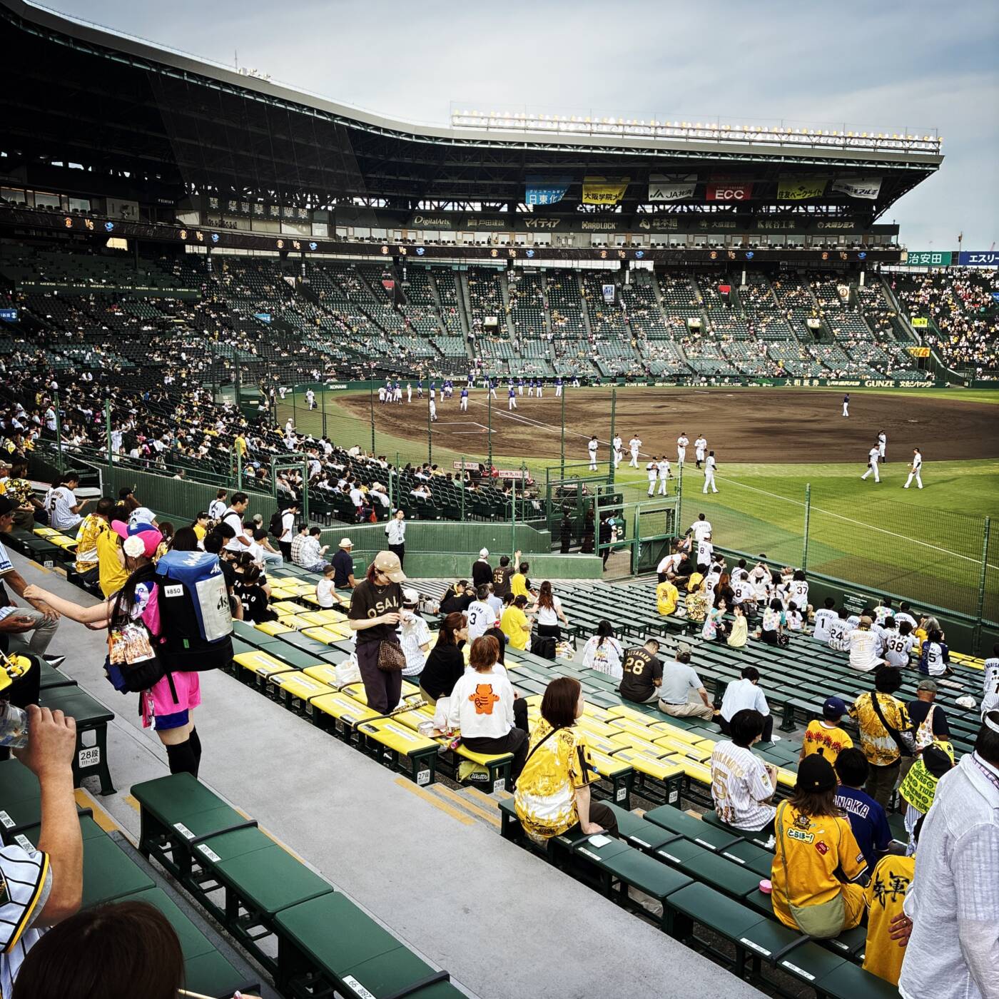 甲子園,阪神