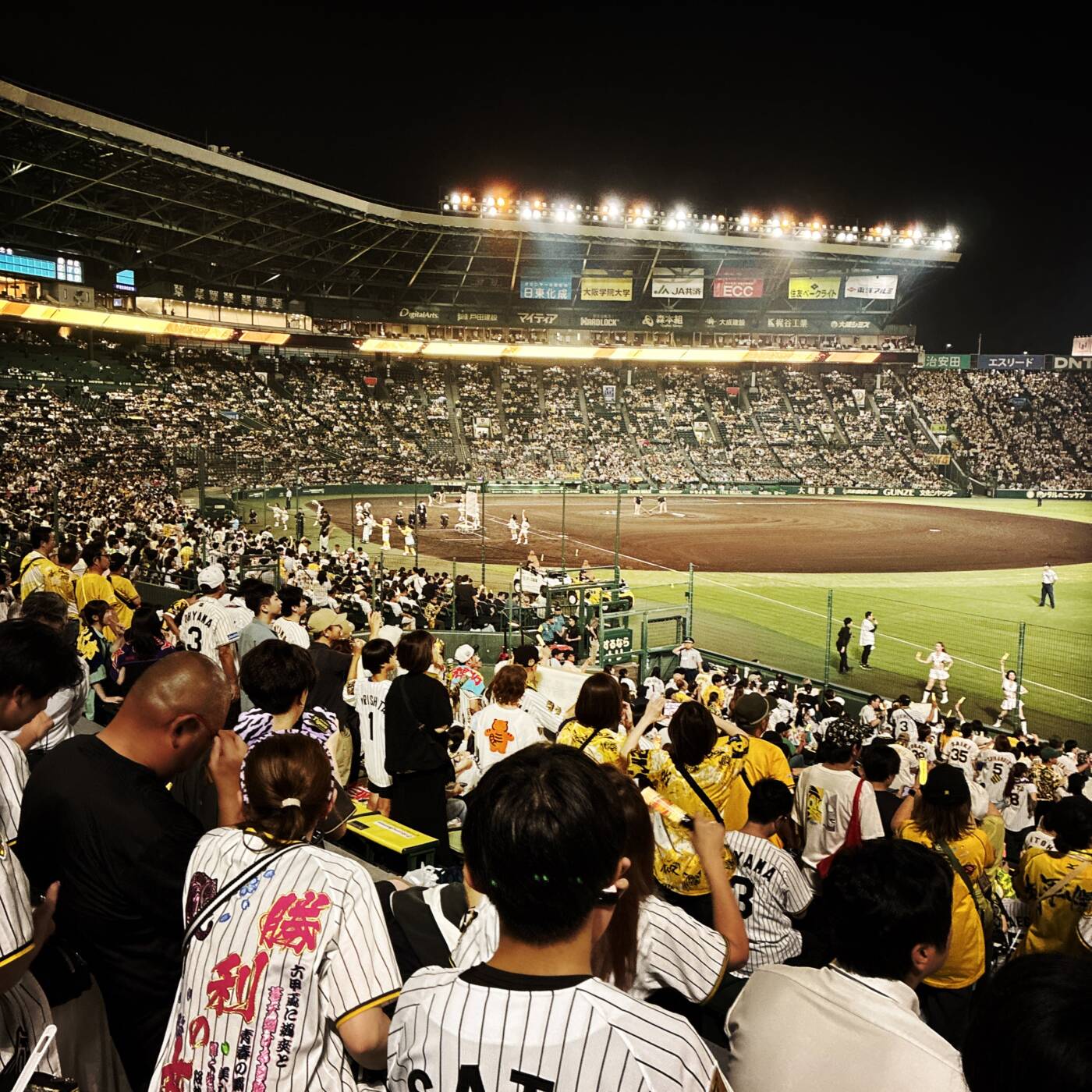 甲子園,阪神