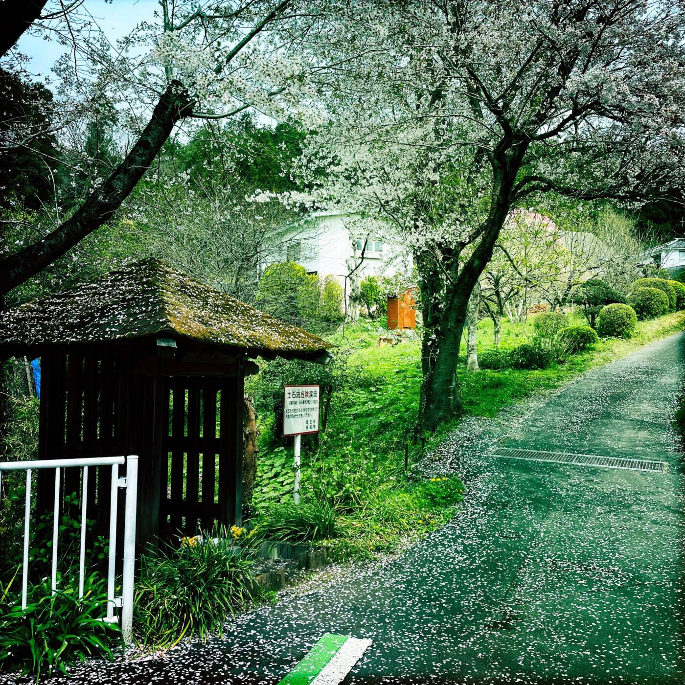 日高市