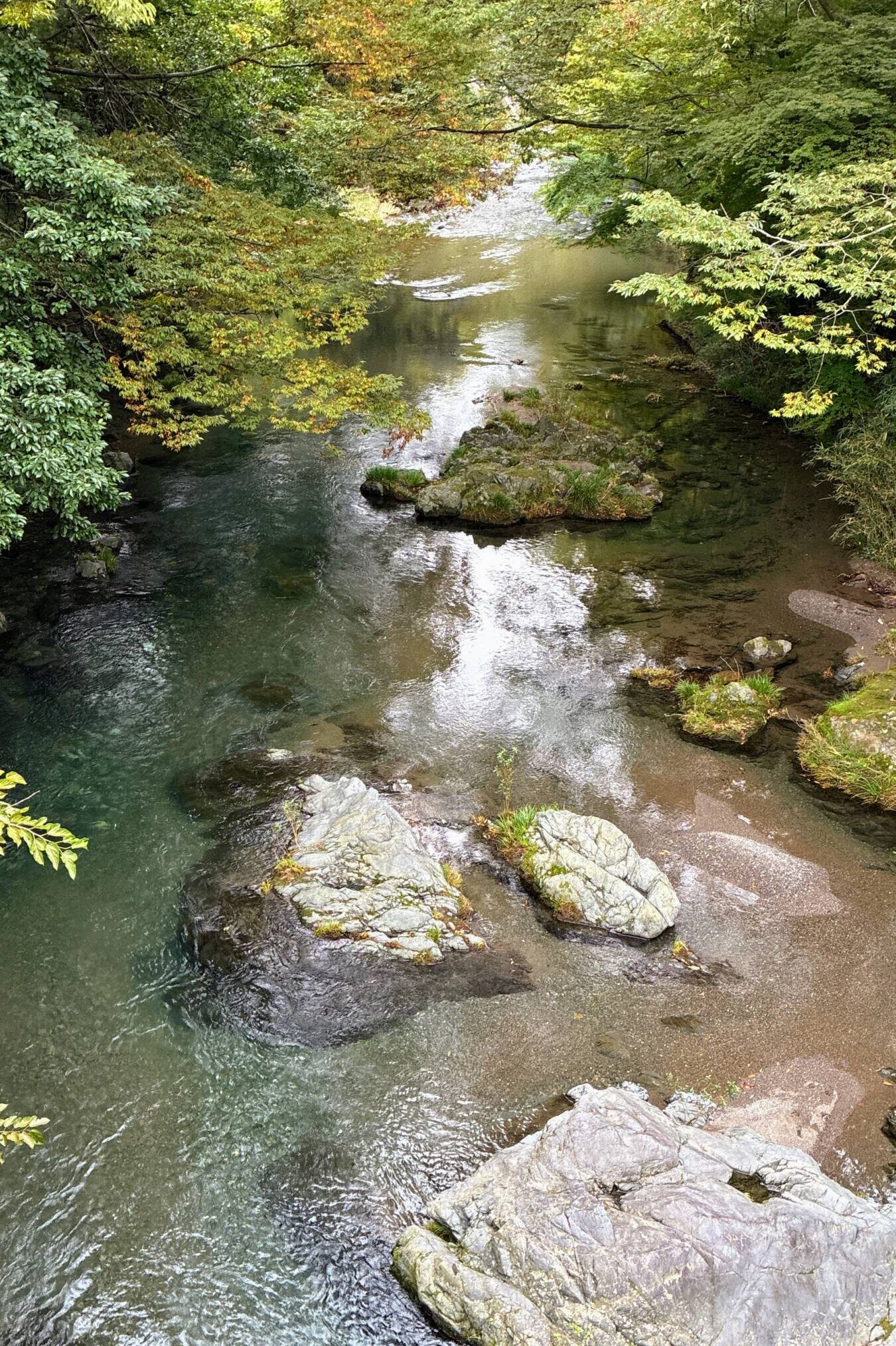高麗川,清流,埼玉の川,日高市